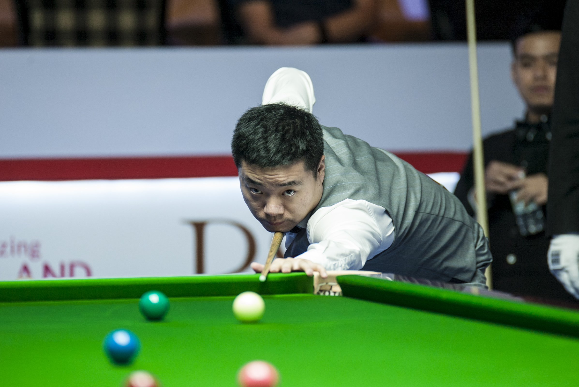 的作用不仅 的作用不仅