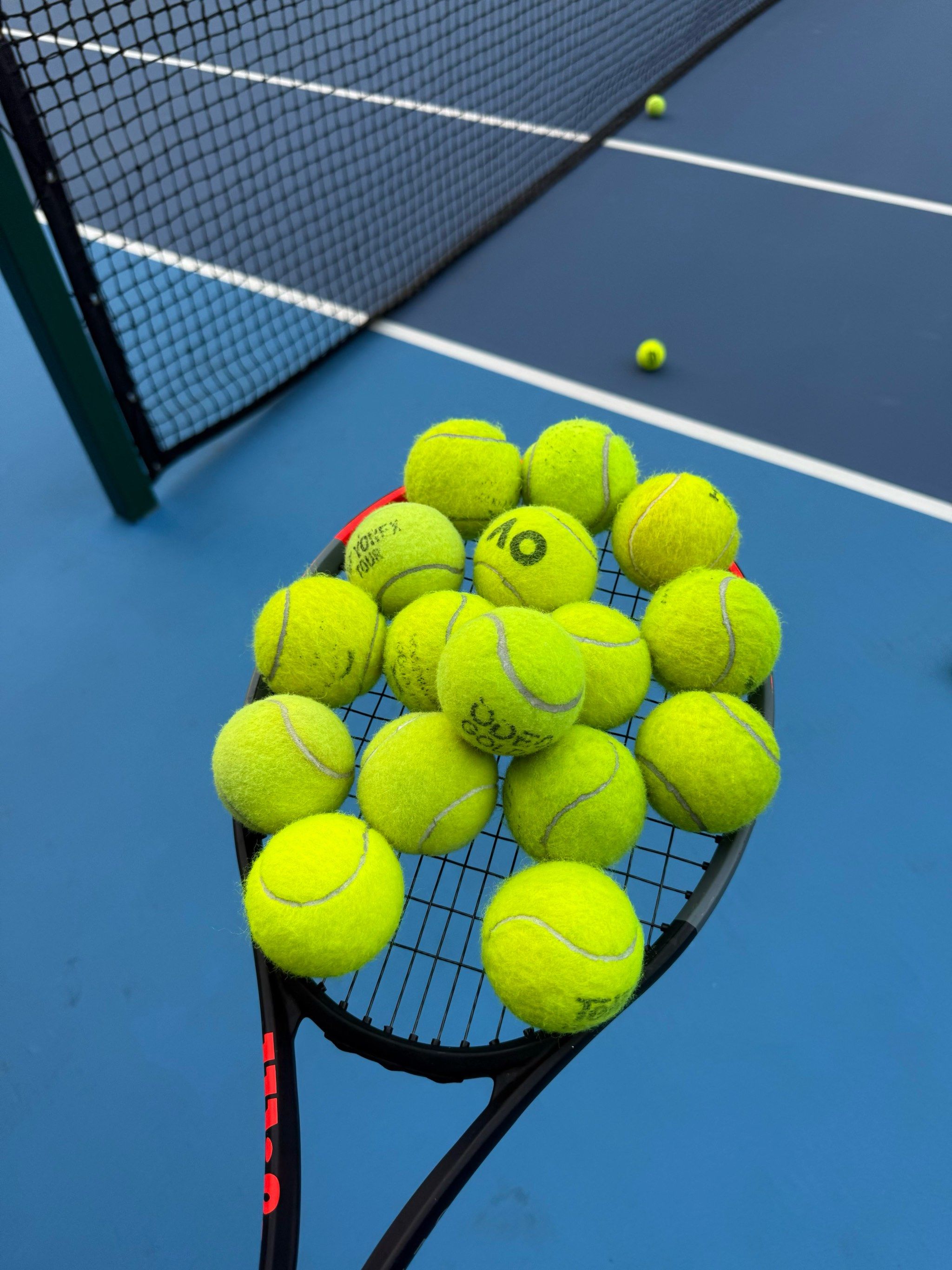 在这项赛事 在这项赛事