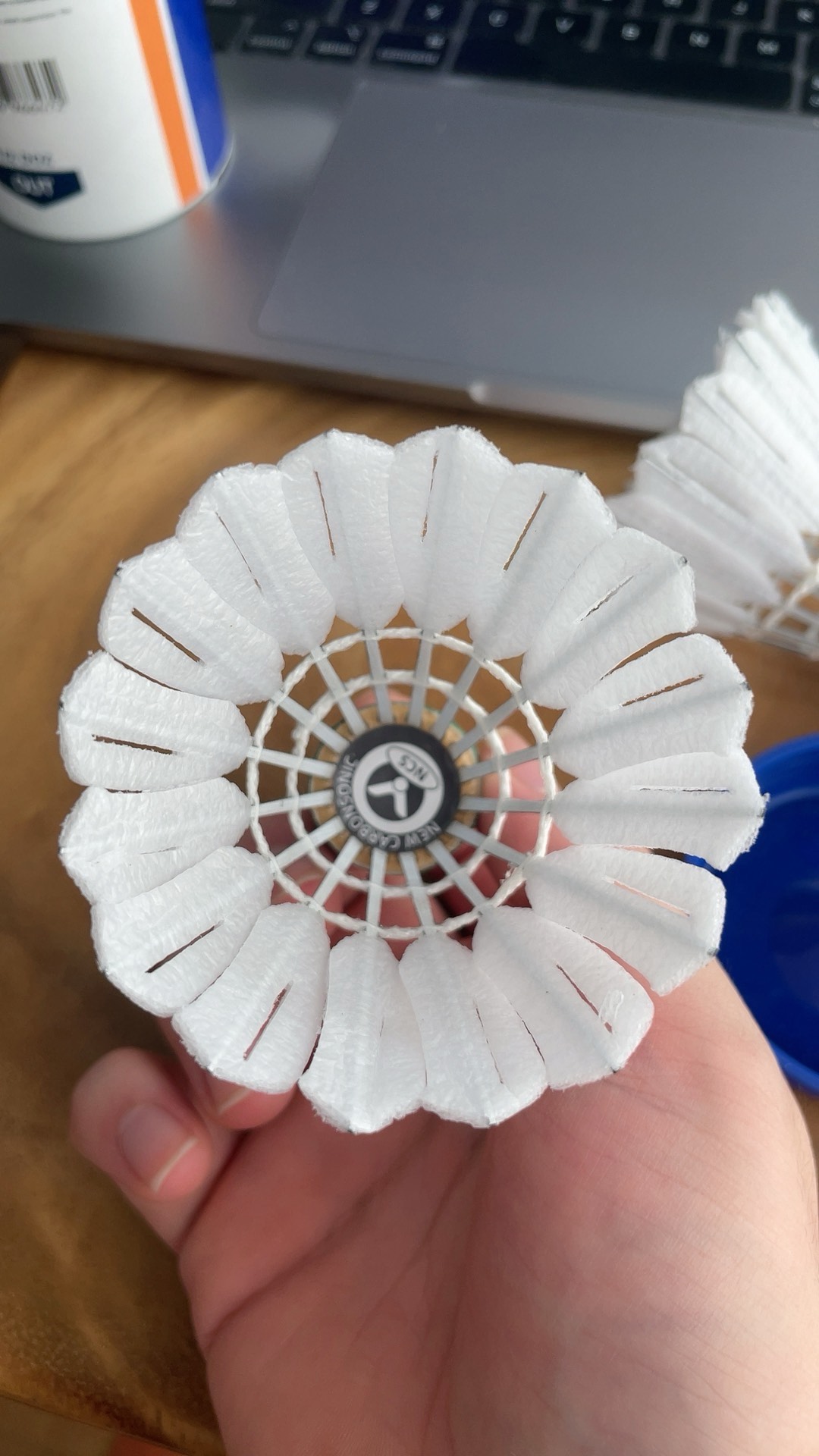 也揭开了她 也揭开了她