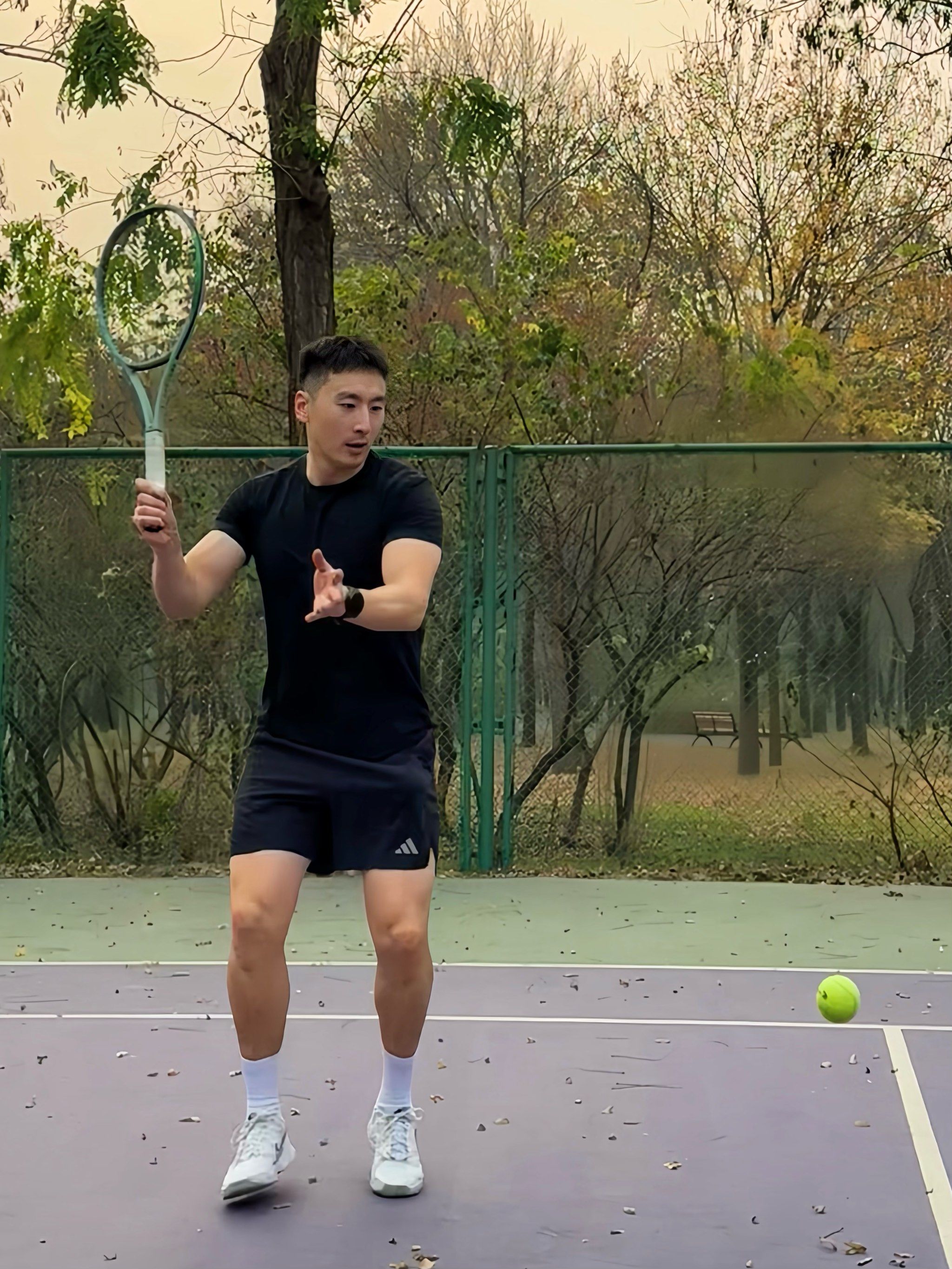 定性作用 定性作用