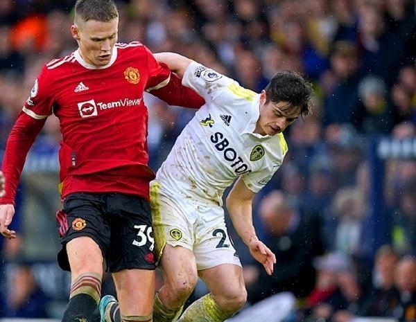 球迷能提供 球迷能提供